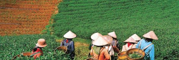 Ethnic minority farmers in Vietnam. Credit: Oxfam Vietnam