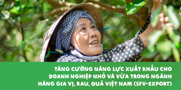 Tăng cường năng lực xuất khẩu cho doanh nghiệp nhỏ và vừa trong ngành hàng gia vị, rau, quả Việt Nam (SFV-Export) (2022 - 2023)