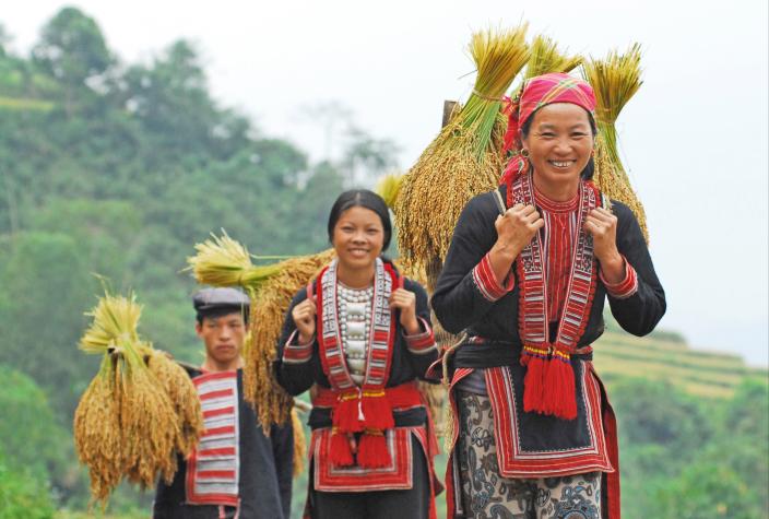 Ethnic minority woman harvests crops in Ninh Binh. Credit: Oxfam Vietnam