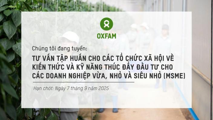 Tư vấn tập huấn cho các tổ chức xã hội về kiến thức và kỹ năng thúc đẩy đầu tư cho các doanh nghiệp vừa, nhỏ và siêu nhỏ (MSME) có mong muốn chuyển đổi sang sản xuất xanh và bền vững hơn trong bối cảnh thích ứng và giảm thiểu tác động tiêu cực từ biến đổi khí hậu, ô nhiễm môi trường và rủi ro thiên tai