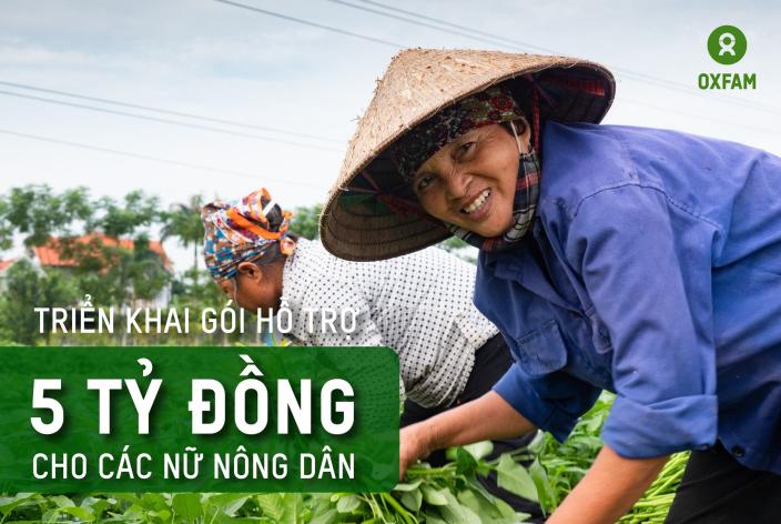 phục hồi sinh kế