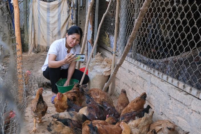 Ms Dung taking care of her poultry at home