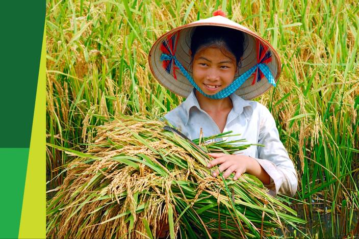 Secured livelihoods and Resilient communities