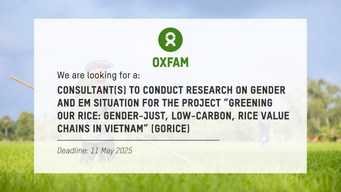 Conduct research on gender and EM situation for the project “Greening our Rice: Gender-Just, Low-Carbon, Rice Value Chains in Vietnam” (GoRice)