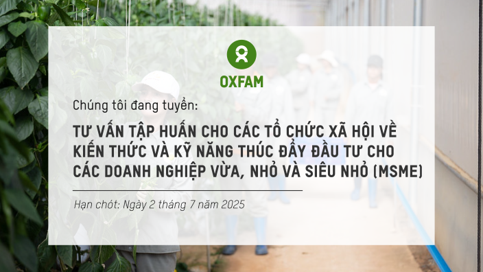 Tư vấn tập huấn cho các tổ chức xã hội về kiến thức và kỹ năng thúc đẩy đầu tư cho các doanh nghiệp vừa, nhỏ và siêu nhỏ (MSME) 
