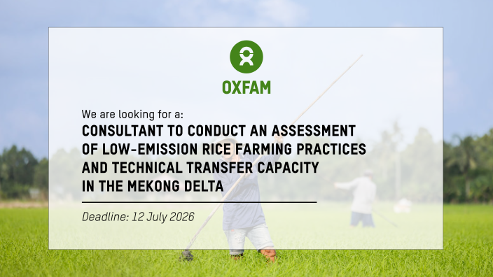 Consultant to conduct an assessment of low-emission rice farming practices and technical transfer capacity in the Mekong Delta