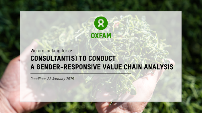 consultant to conduct gender responsive value chain analysis