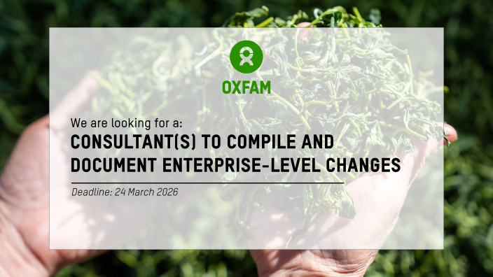 Consultant(s) to compile and  document enterprise-level changes