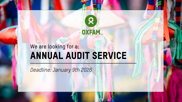 Annual Audit Service