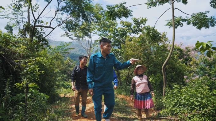 forest allocation