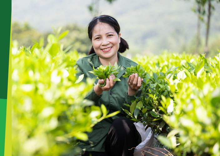 Goal 3: Secured Livelihoods and Resilient Communities