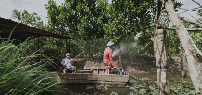 Smart Irrigation Transformed Lives in Mekong Delta